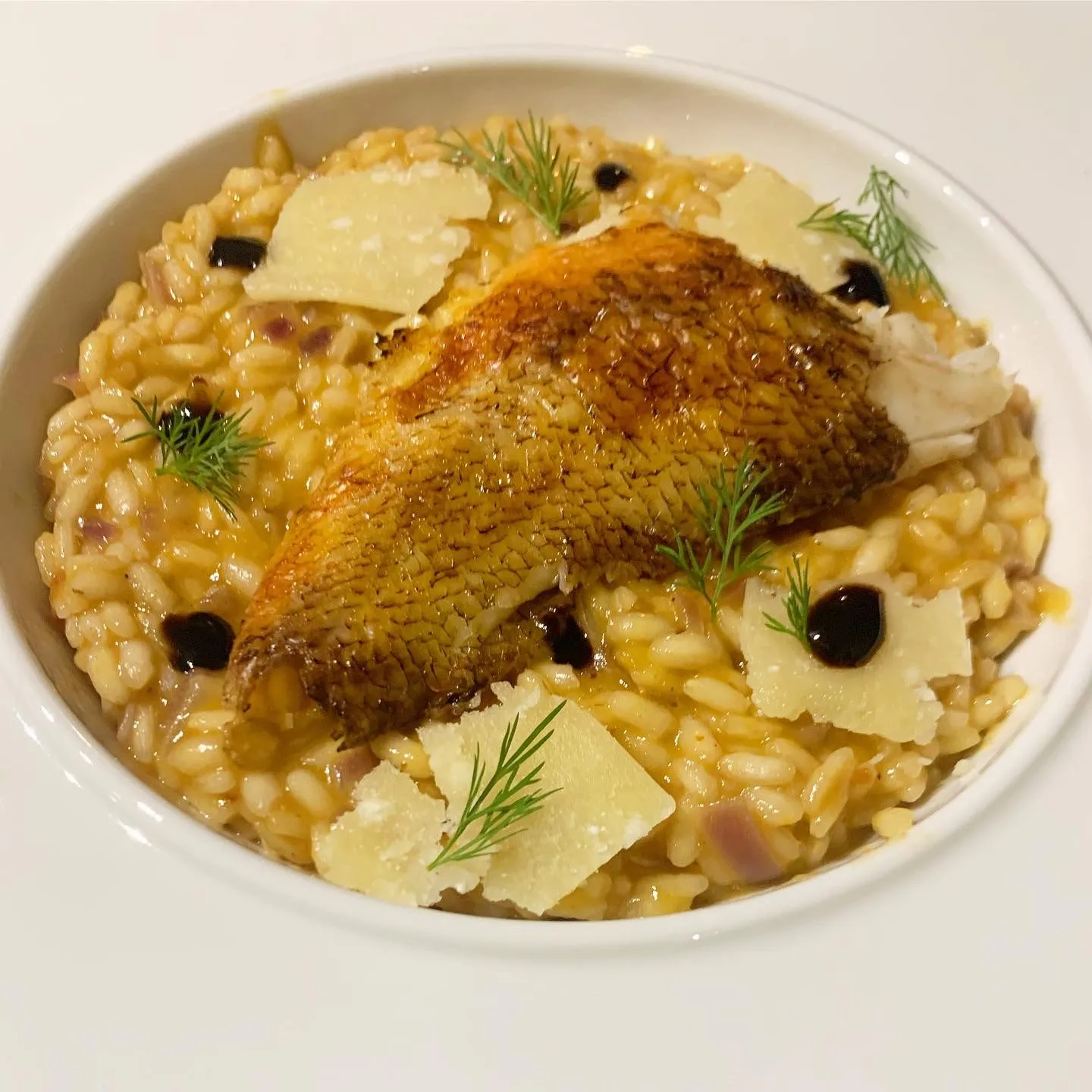 Poke bowl saumon avocat mangue, cuisine fraîche et moderne en Corse